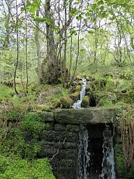 Pond and Head-Race at Froggatt Wood Smelt Mill, Longshaw Estate © National Trust
