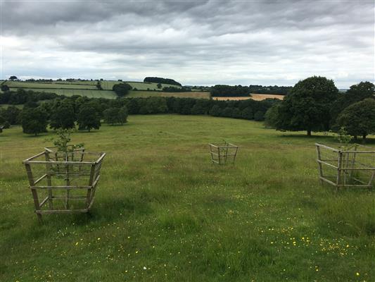 Site of WWII Army Camp located between Miller's Pond and Broadoak Hill, Hardwick Hall Estate (July 2019) © National Trust