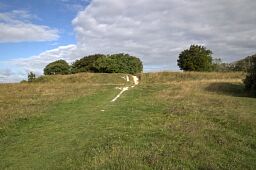 Rams Hill Type Bronze Age Enclosure; Roman Fortified Site; Anglo-Saxon Cemetery, Highdown Hill © National Trust